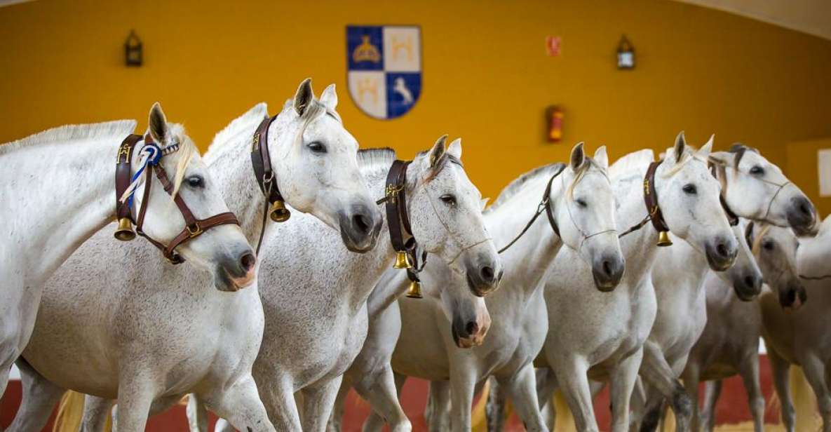 Jerez: Cartuja Stud Farm Carthusian Horses Tour - Tour Experience