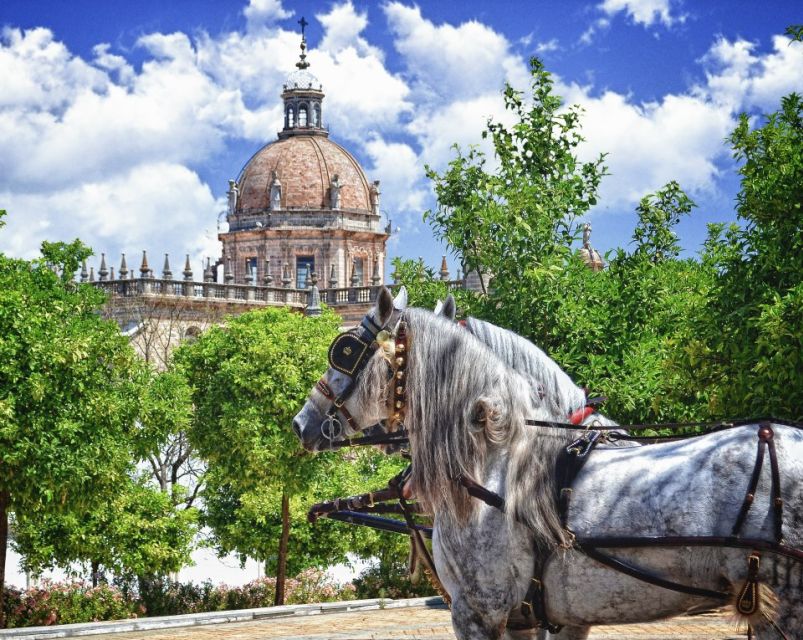 Jerez: Historic Center Guided Tour - Experience Highlights