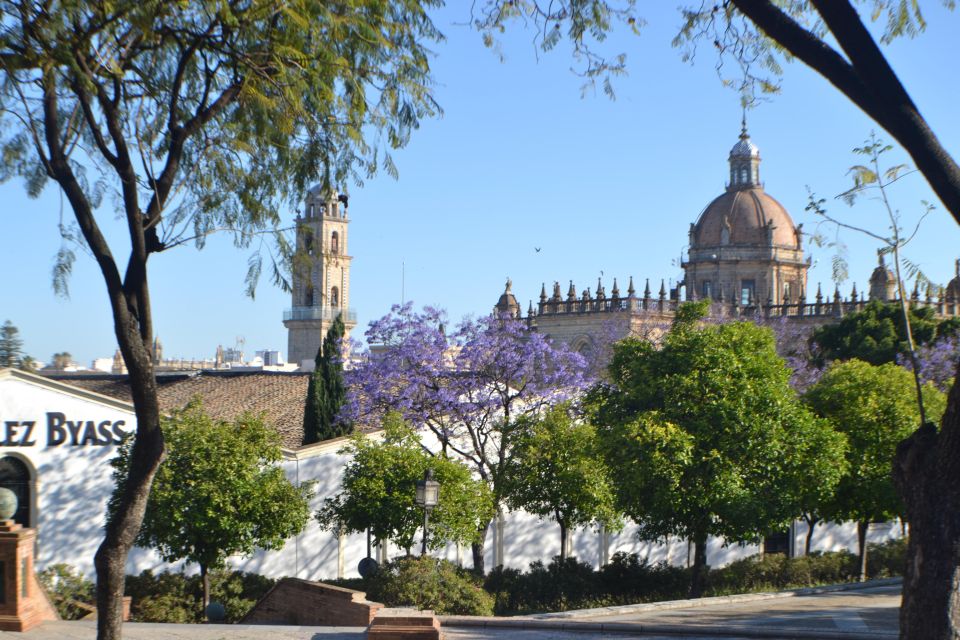 Jerez Private City Walking Tour - Live Guide Information