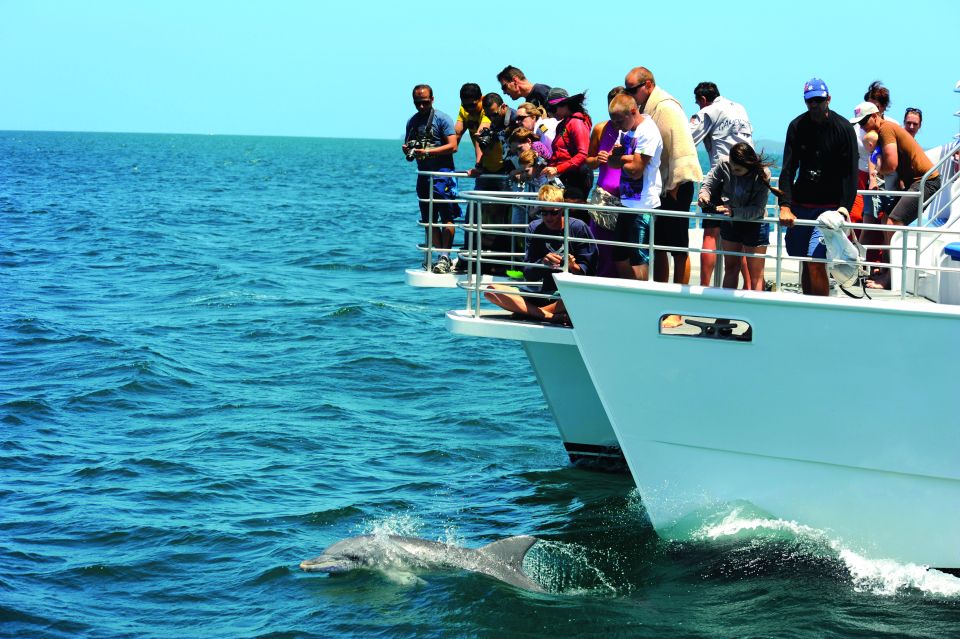 Jervis Bay: 1.5-Hour Dolphin Cruise - Customer Reviews
