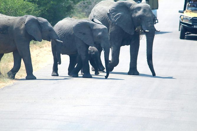 Johannesburg, Kruger Park: 3-Day Group Safari, Lodging, Meals  - Pretoria - Accommodation and Meals Details