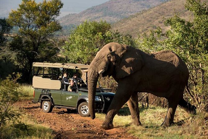 Johannesburg Small-Group Pilanesberg NP Safari  - Pretoria - Cancellation and Refund Policy