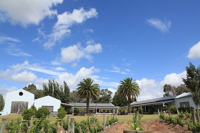 Jose Ignacio Sunset Tasting From Punta Del Este - Pickup and Start Time