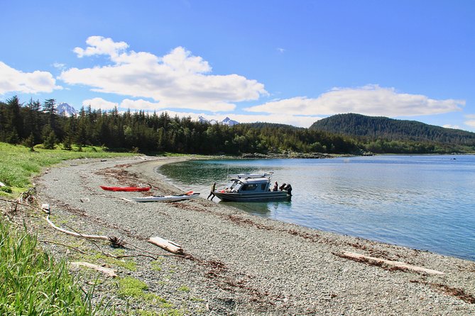 Juneau Kayaking Adventure to Humpback Whale Feeding Grounds - Pickup and Drop-off Logistics