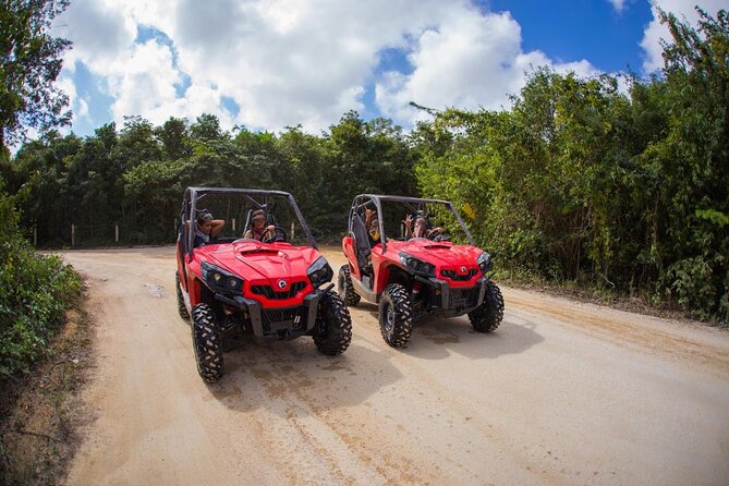 Jungle Buggy Tour From Playa Del Carmen Including Cenote Swim - Guest Experience