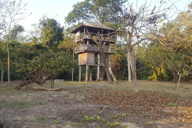Jungle Towernight Stay In Chitwan National Park ,nepal-2 Nights 3 Days Package - Tour Expectations and Accessibility