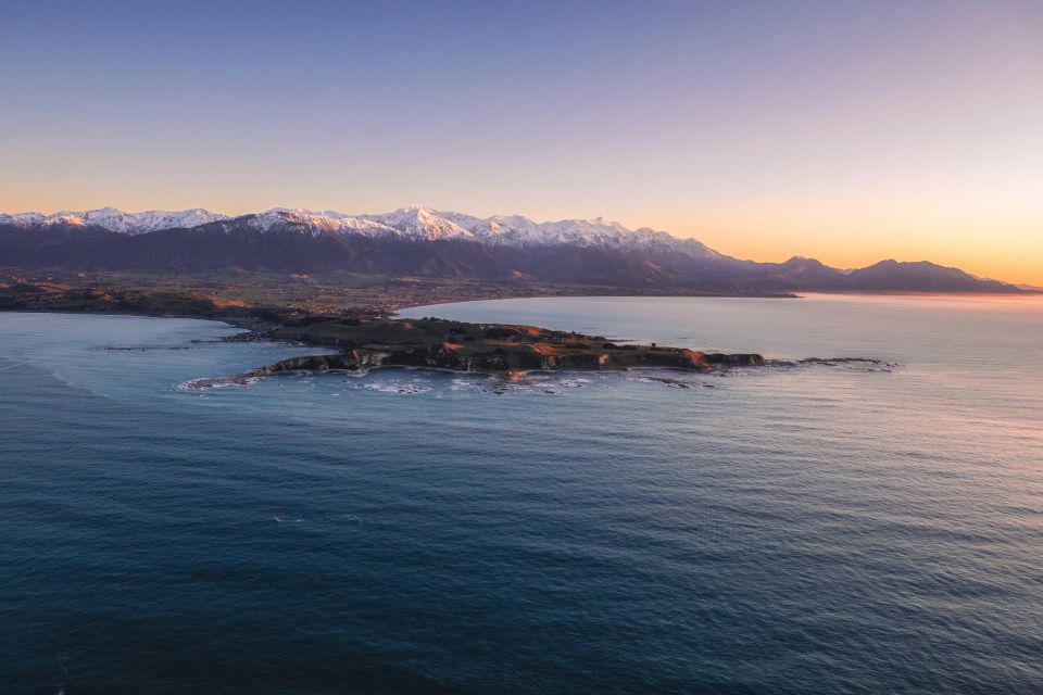 Kaikoura: Extended Flight Whale Watching & Mountain Tour - Activity Highlights