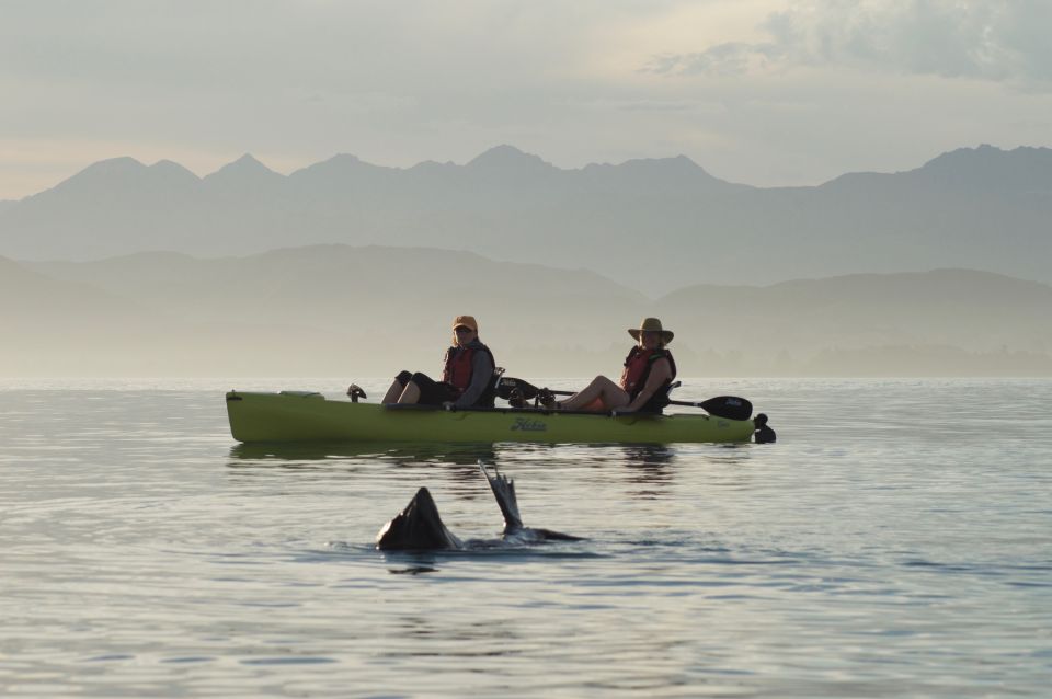 Kaikoura: Seal-Watching Pedal Kayak Tour - Tour Experience