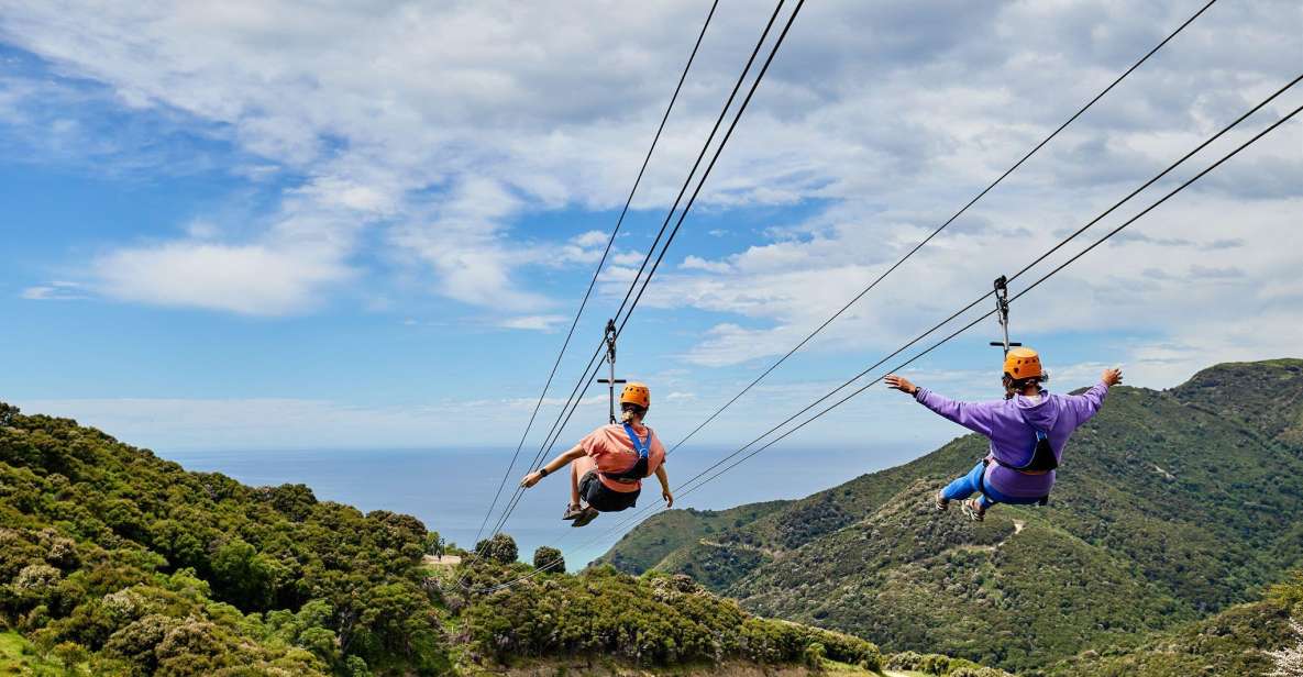 Kaikōura: Zipline and Native Forest Adventure Trip - Experience Highlights