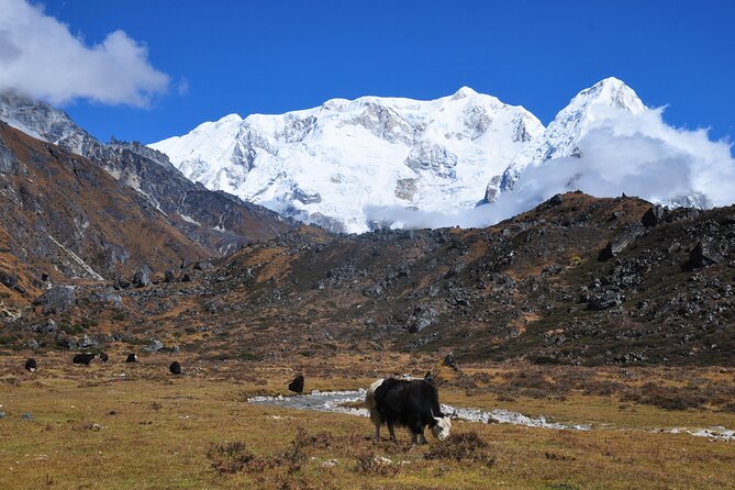 Kanchenjunga Circuit Trek - Essential Gear Checklist