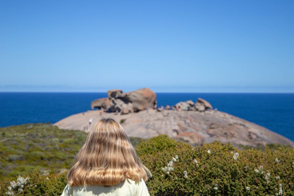 Kangaroo Island Full Day Experience by Ferry Including Lunch - Activity Inclusions