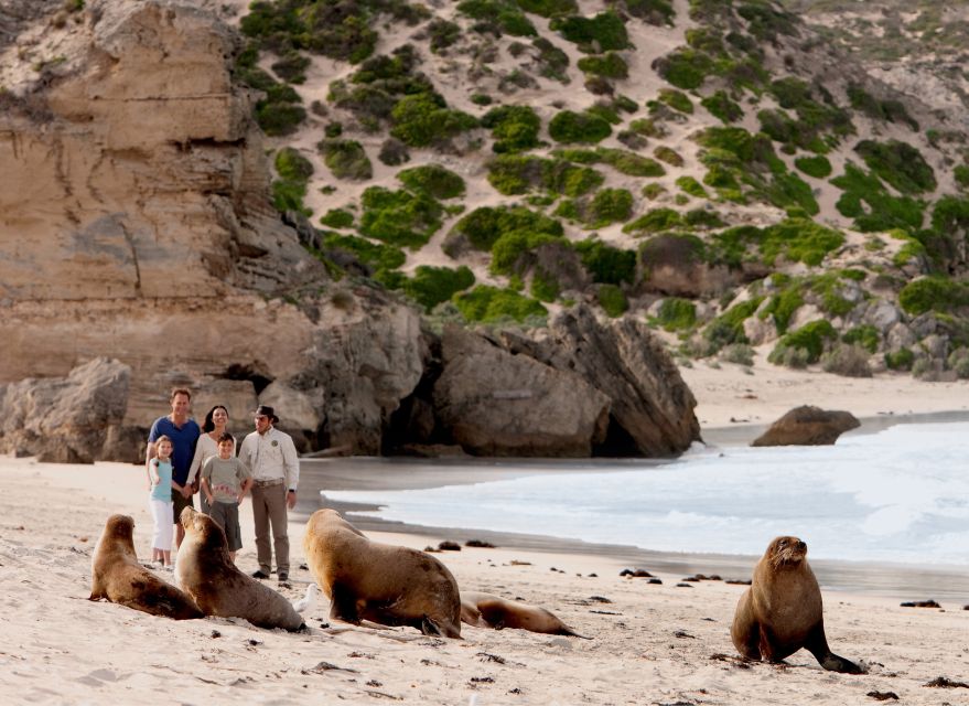 Kangaroo Island: Scenic, Nature & Wildlife Tour - Reviewer Feedback and Recommendations