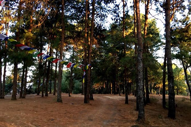 Kathmandu Best Scenic Day Hiking to Champa Devi Hill - Capture Panoramic Views