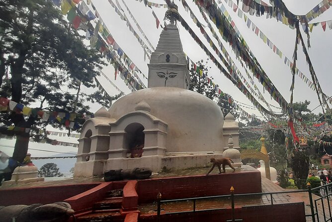 Kathmandu Valley 4 UNESCO World Heritage Sites - Day Tour - Cultural Experiences