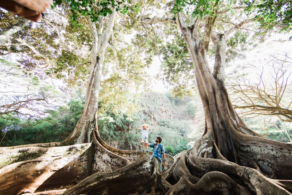 Kauai: Allerton Garden Guided Group Walking Tour - Booking Information