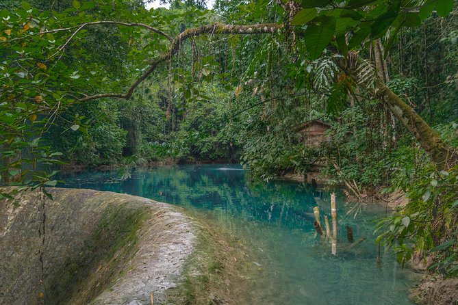 Kawasan Canyoneering, Kawasan Falls and Whaleshark Encounter - Stunning Kawasan Falls Experience