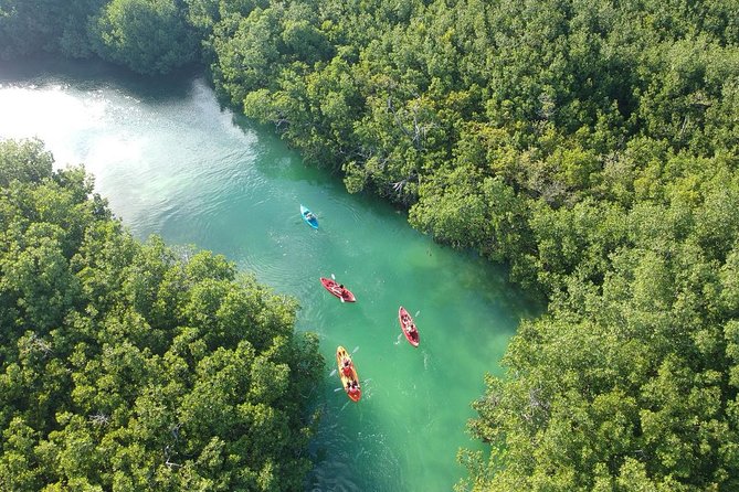 Kayak Adventure Through Laguna Nichupté in Cancun - Cancellation Policy Details