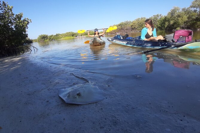 Kayak Experience in the Mangroves of Holbox Island - What Youll Explore