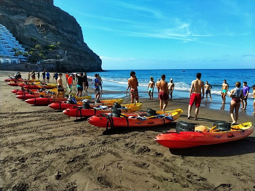 Kayak Through the Caves and Cliffs of Mogan - Activity Details