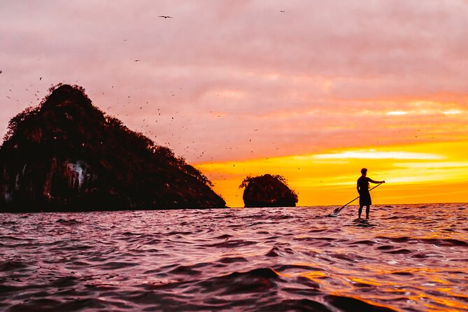 Kayaking Bioluminescence Experience - When Is the Best Time to Go?