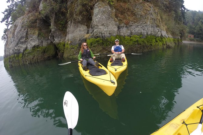 Kayaking Brookings Chetco River - Wildlife Sightings