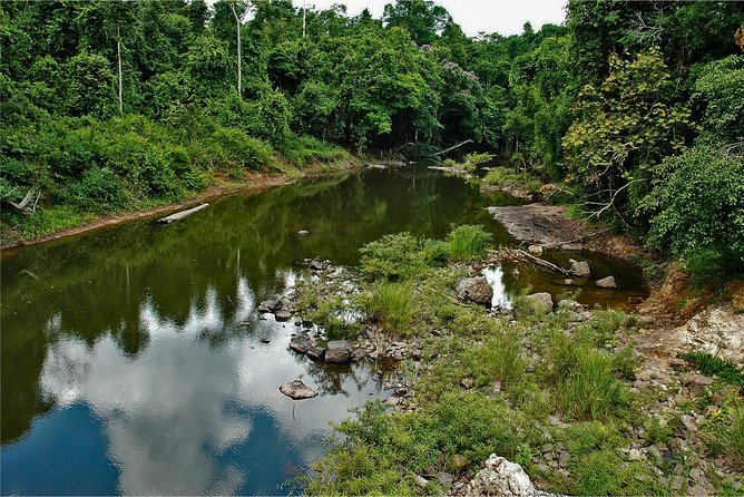 Khao Yai Bat Caves & Night Safari Adventure 3D/2N - Bat Cave Exploration Experience