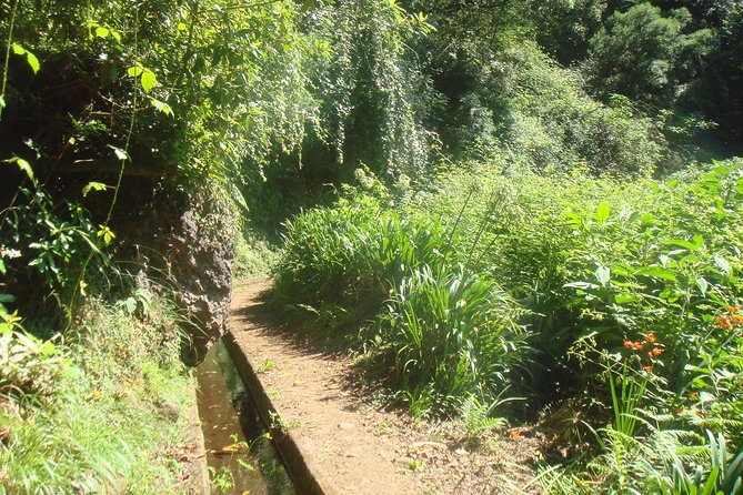 Kings Levada Walk Sao Jorge Native Forest - Pickup and Transportation Details