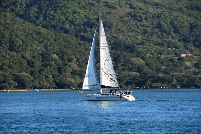 Knysna Day Sailing Cruise 1.5 Hour - Itinerary Highlights