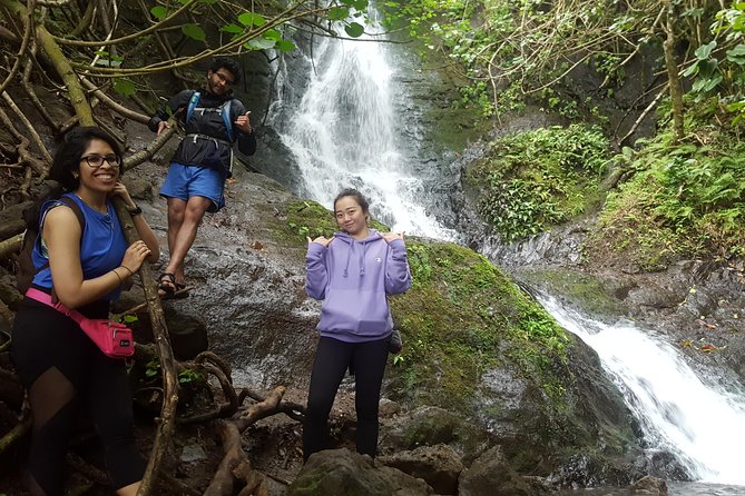 Koolau Waterfall Hike - Booking Details