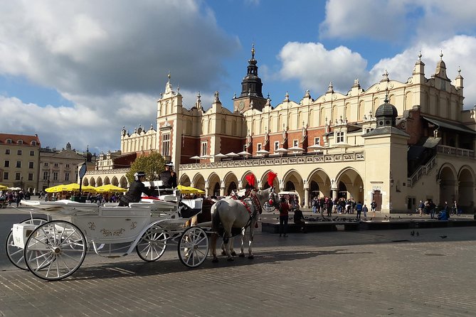 Krakow - Full Day Tour From Warsaw by Private Car - Private Car Service Details