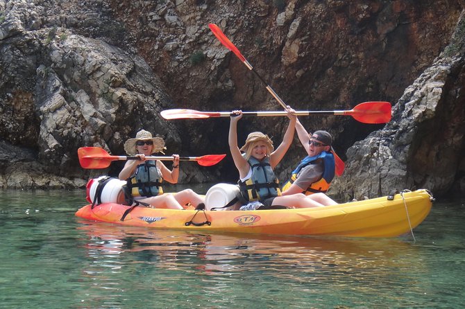 Krk Half-Day Kayak and Snorkel Marine Biology Tour  - Krk Island - Marine Life Exploration