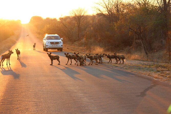 Kruger National Game Park Three Day PRIVATE Tour - Reviews
