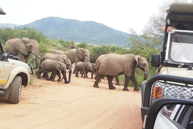 Kruger National Park 3 Days 2 Nights Classic Safari From Johannesburg Private - Private Safari Experience