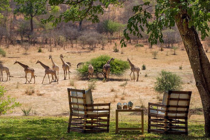 Kruger National Park Best Tour - Safari Activities