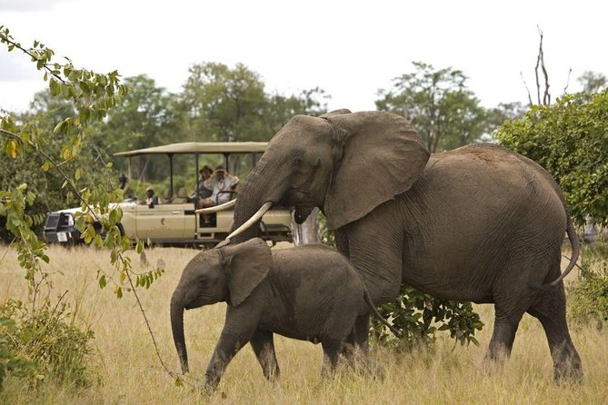 Kruger National Park Full Day Big 5 Safari Tour From Hazyview - Itinerary Highlights