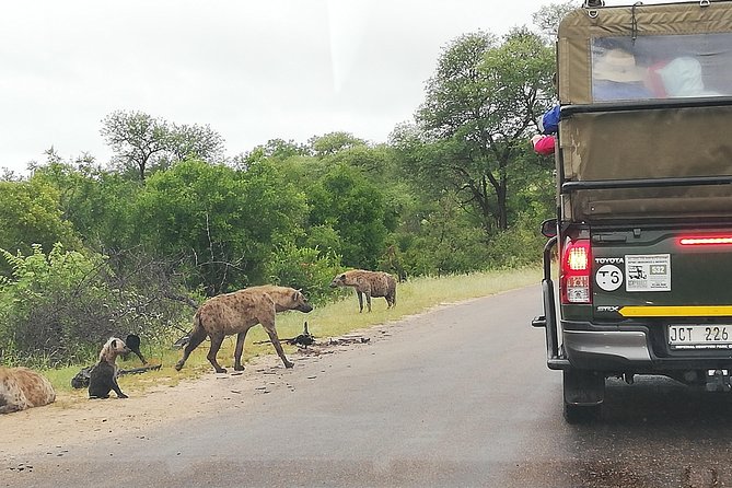 Kruger National Park Safari With Panorama 4 Days Private - Cancellation Policy and Refunds