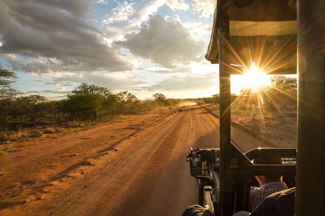 Kruger Park Half Day Open Vehicle Safari Drive - Inclusions and Exclusions