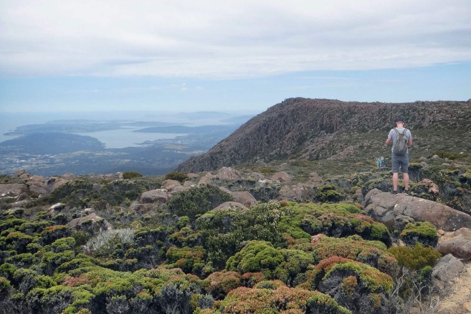 Kunanyi & Mt Wellington Explorer Bus: One-Way Bus Pass - Inclusions