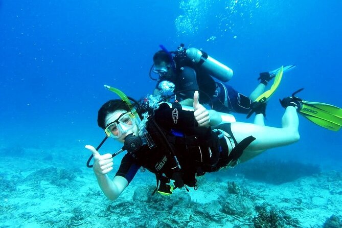 Kusadasi Beginners Discover Scuba Dive W/Transfers & Lunch - Inclusions and Equipment Provided