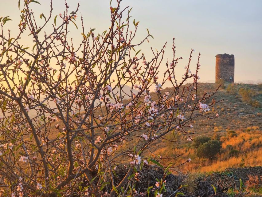 La Axarquia White Villages & Buddhist Stupa - SemiPrivate - Highlights