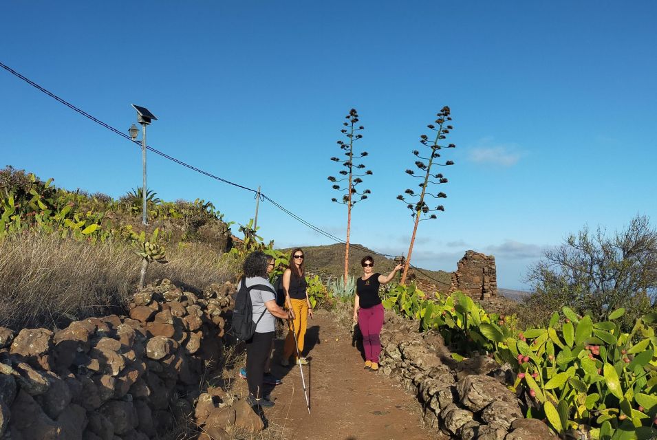 La Gomera: Winery Visit and Tasting Tour - Tour Highlights
