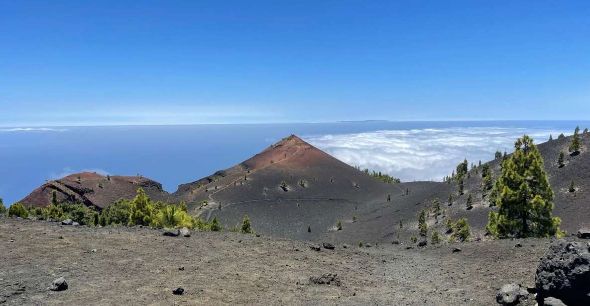 La Palma: Guided Trekking Tour to Volcanoes South - Tour Highlights