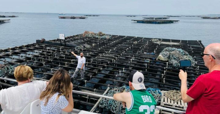 La Toja: Boat Tour at the Arousa Estuary With Mussel Tasting - Activity Description