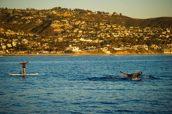 Laguna Beach SUP Lesson and Tour - Booking Requirements