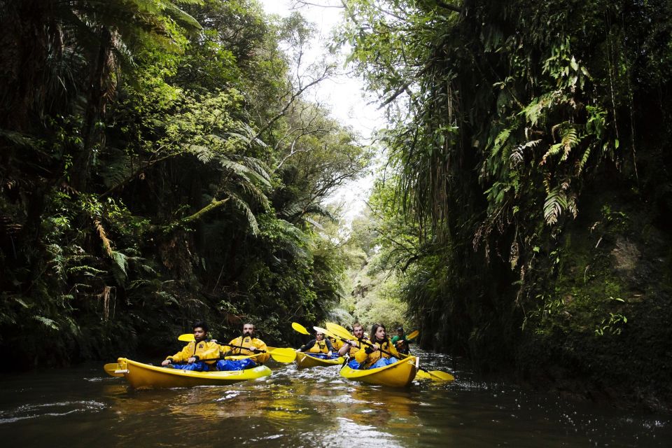 Lake Karapiro: Evening Kayak Glowworm Tour - Experience Highlights