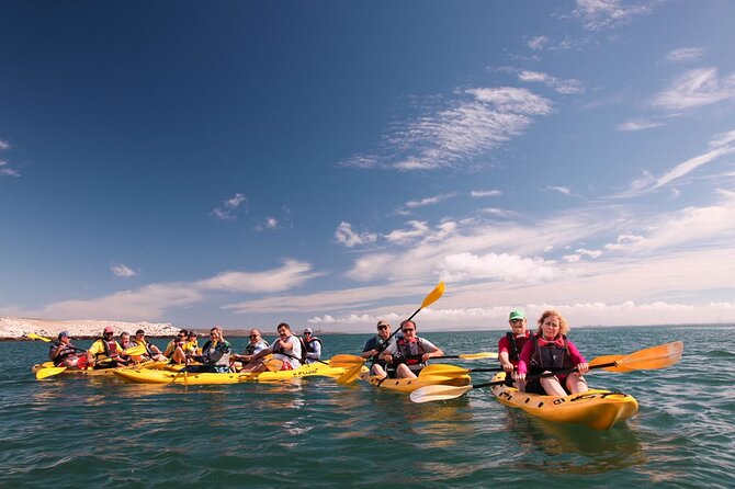 Langebaan Lagoon Island Kayak Experience - Experience Overview and Highlights