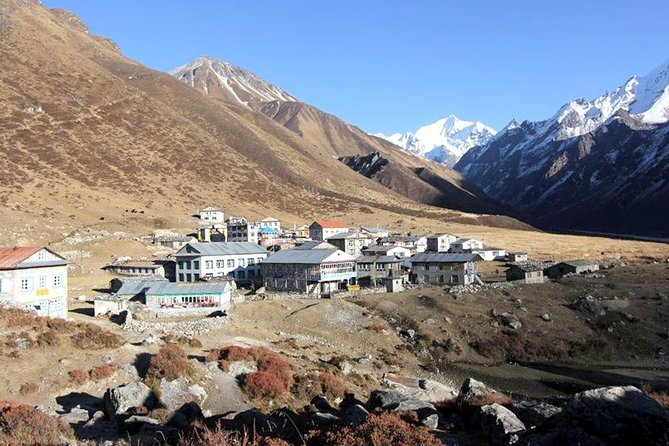 Langtang Valley Trekking - Accommodation and Meals Provided