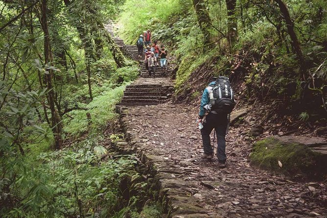 Langtang Valley Trekking - Trek Difficulty Level