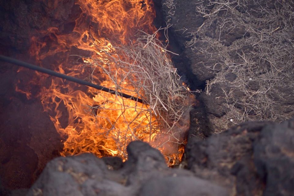 Lanzarote: 5-Hour Timanfaya National Park Southern Tour - Highlighted Attractions