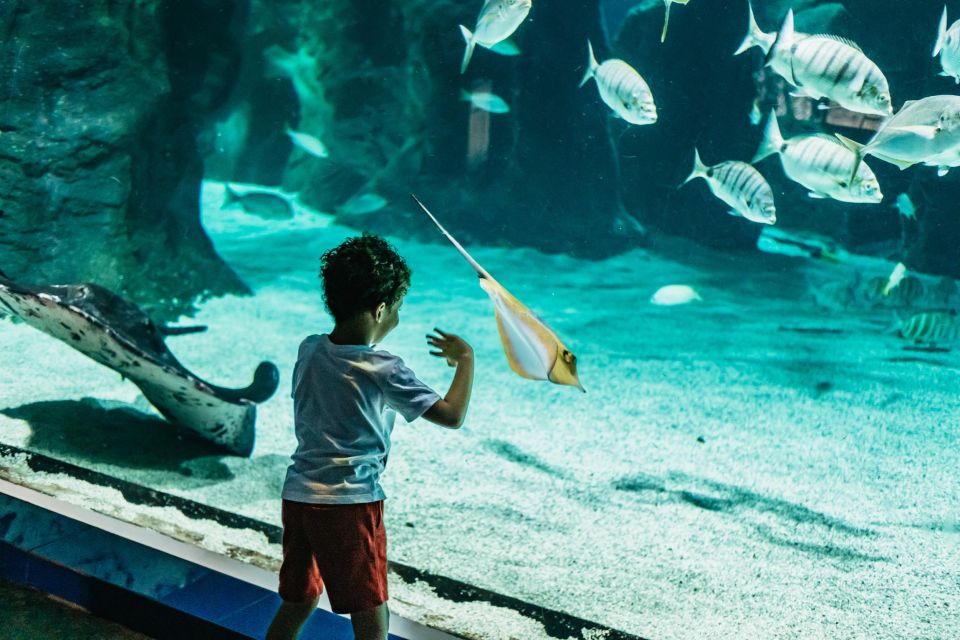 Lanzarote: Aquarium Entry Ticket - Experience at the Aquarium